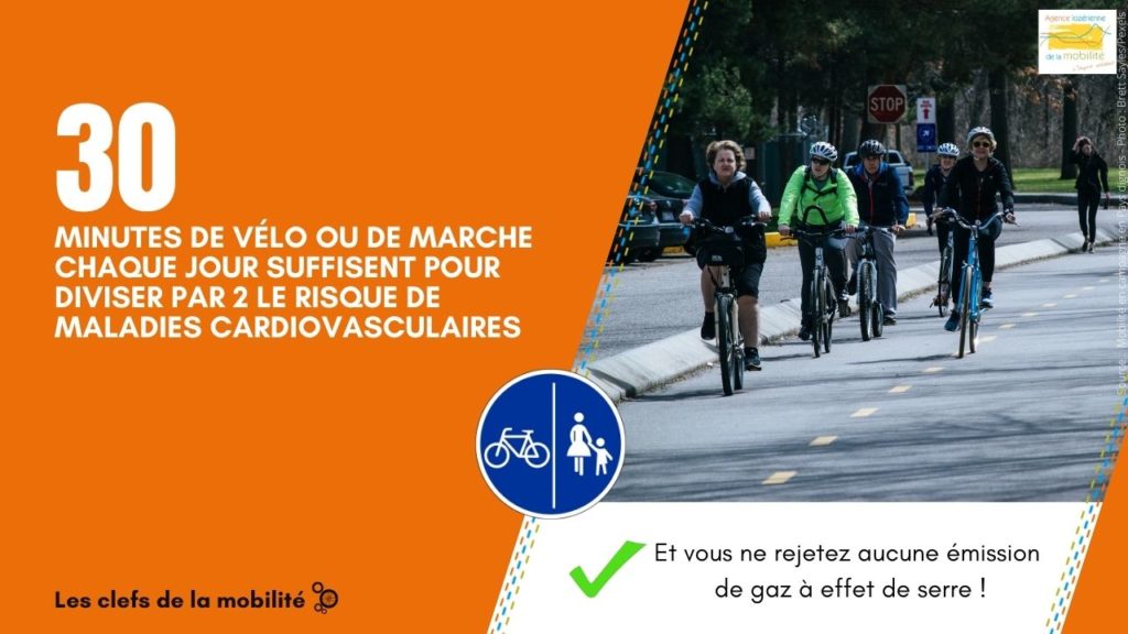 30 minutes de vélo ou de marche par jour divisent par 2 le risque de maladies cardiovasculaires